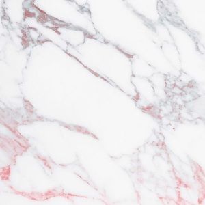 Meet your Posher, Shawnee